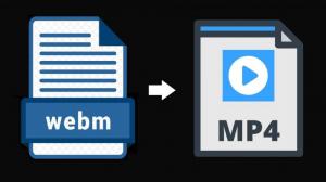 WebM'i MP4'e dönüştürme - İlk 10 dönüştürücüyü inceleyin
