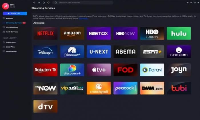 BBFly Paramount Plus Downloader