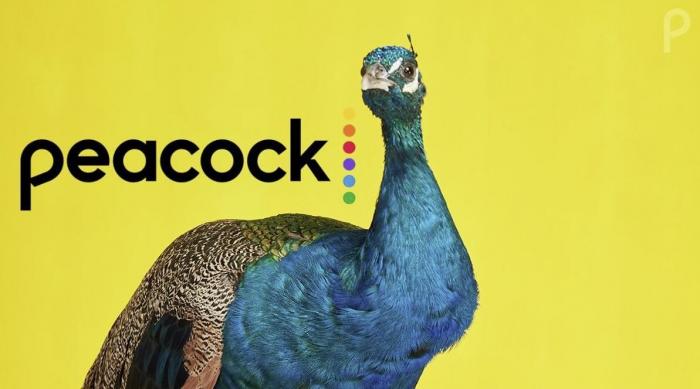 Activate Peacock on Xfinity | What Channel is Peacock on Xfinity?