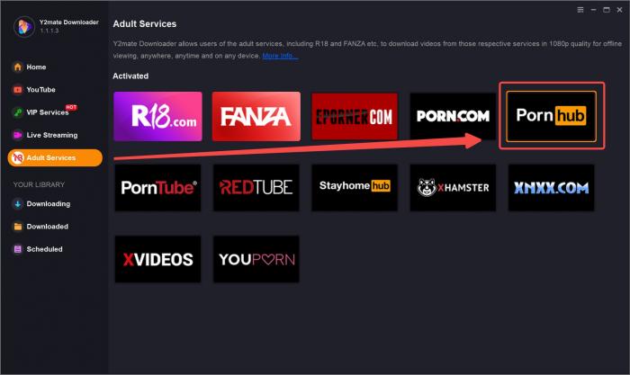Sex Video Apps Downlod - 7 Methods to Download Videos from Pornhub | How to Download Pornhub Videos  [2023]