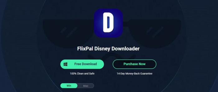 FlixPal Disney Downloader