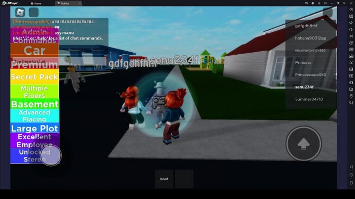 Roblox vagina