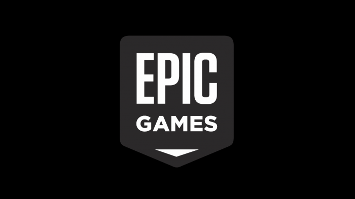 Epic Games Activate on Epic Launcher, PS4, and