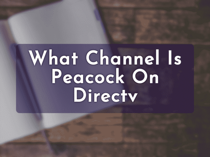 Watch Peacock on DirecTV A StepbyStep Tutorial