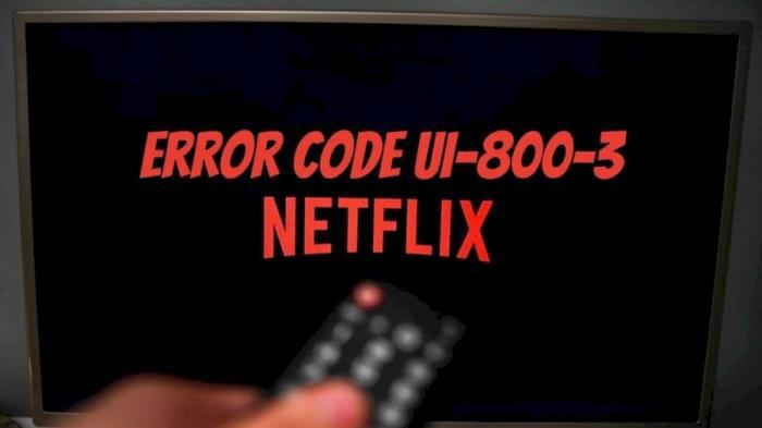 ➤ Como corrigir o código de erro Netflix UI-800-3 🕹