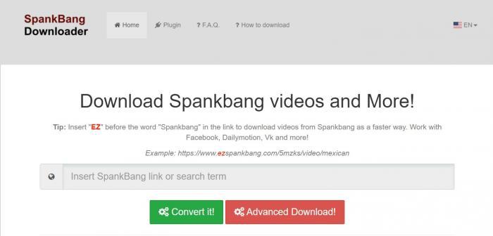 Spankbang Downloader