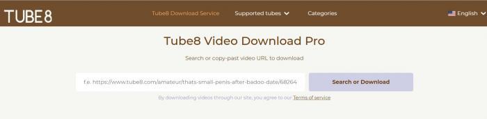 tube8 video download