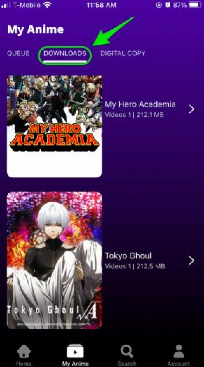 funimation video download