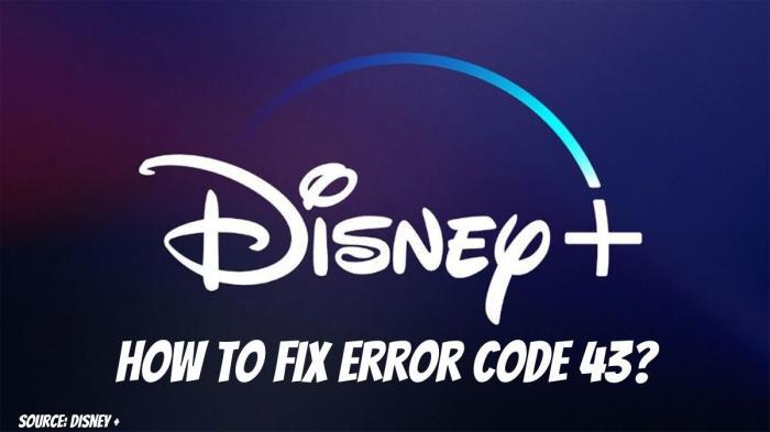 fix disney plus error code 43